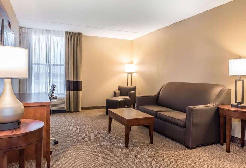 בית מלון כפרי Comfort Inn & Suites Piquanear Troyi75