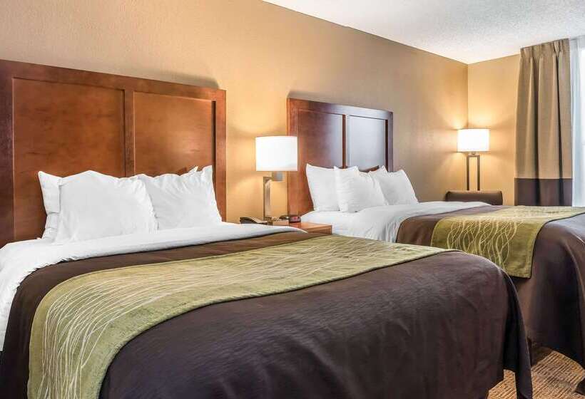 בית מלון כפרי Comfort Inn & Suites Piquanear Troyi75