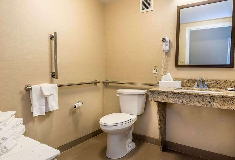 בית מלון כפרי Comfort Inn & Suites Piquanear Troyi75