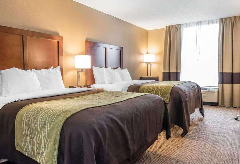 בית מלון כפרי Comfort Inn & Suites Piquanear Troyi75