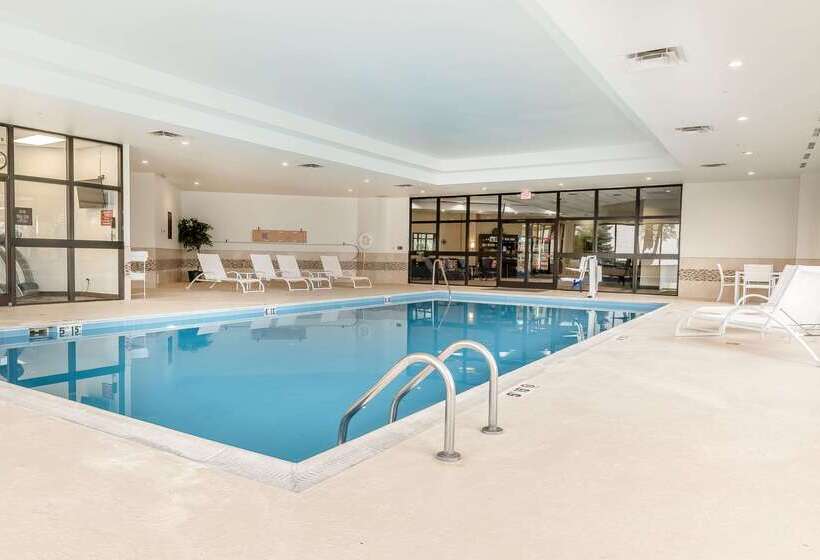 בית מלון כפרי Comfort Inn & Suites Piquanear Troyi75