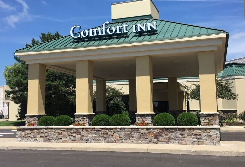 בית מלון כפרי Comfort Inn & Suites Piquanear Troyi75