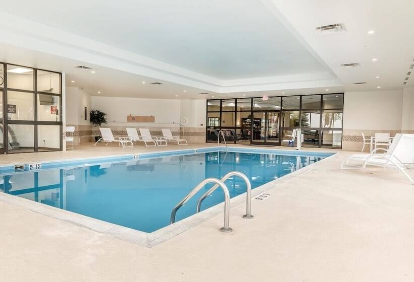 בית מלון כפרי Comfort Inn & Suites Piquanear Troyi75