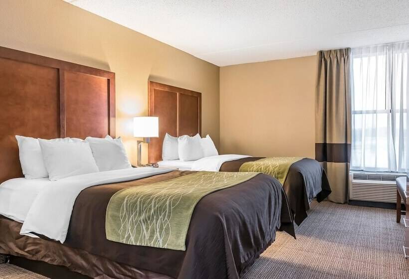 בית מלון כפרי Comfort Inn & Suites Piquanear Troyi75