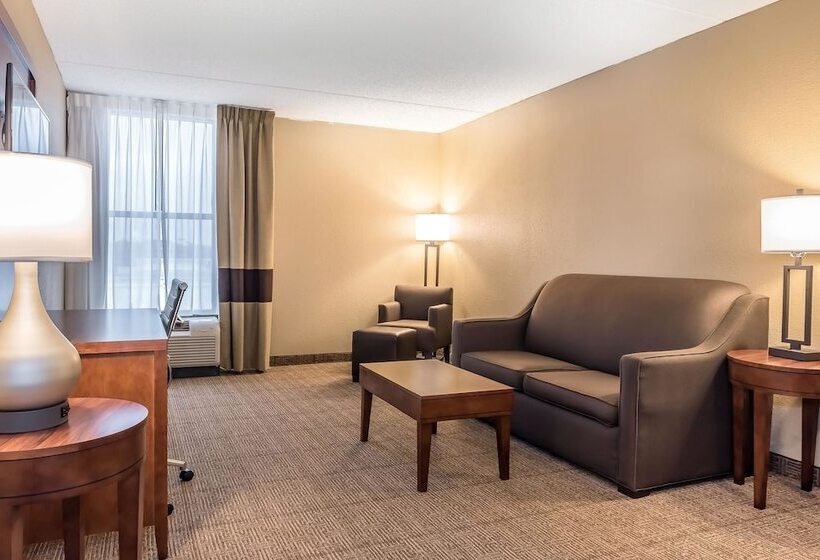 בית מלון כפרי Comfort Inn & Suites Piquanear Troyi75