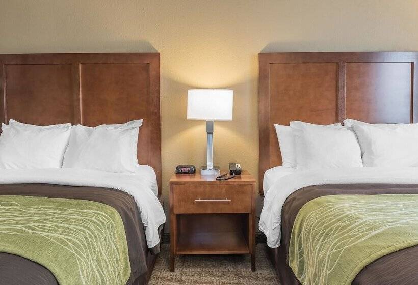 בית מלון כפרי Comfort Inn & Suites Piquanear Troyi75