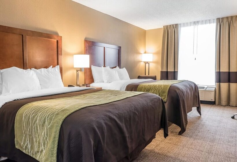 בית מלון כפרי Comfort Inn & Suites Piquanear Troyi75