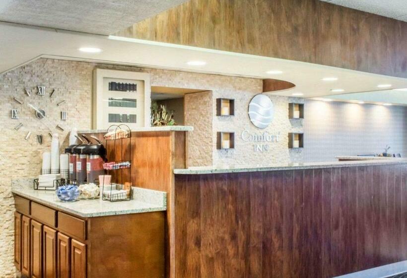 酒店 Hammock  Rochester Niagara Falls