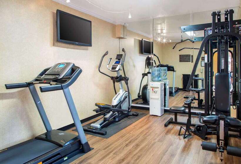 Отель Comfort Inn & Suites San Francisco Airport North