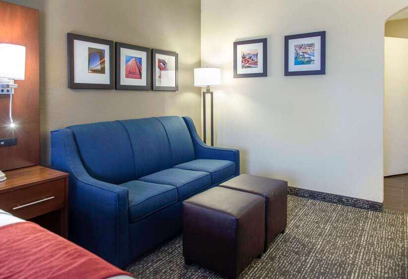 Отель Comfort Inn & Suites San Francisco Airport North