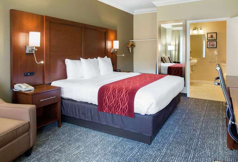 Отель Comfort Inn & Suites San Francisco Airport North