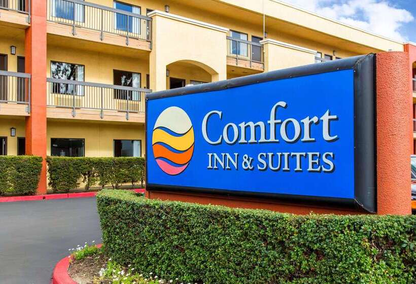 Отель Comfort Inn & Suites San Francisco Airport North