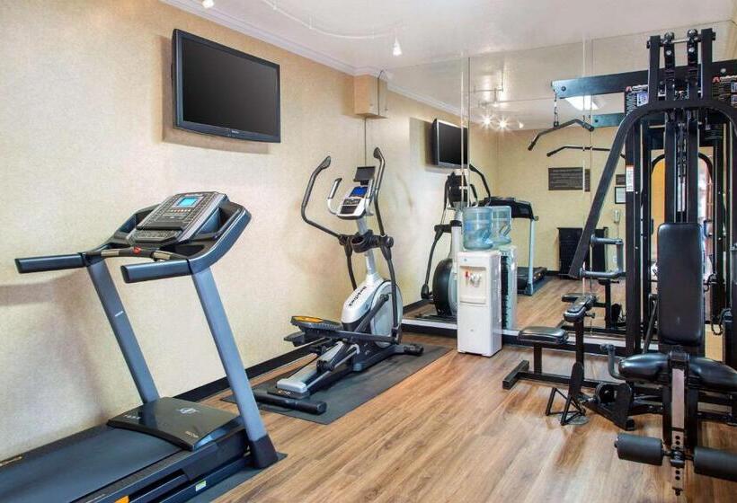 Отель Comfort Inn & Suites San Francisco Airport North