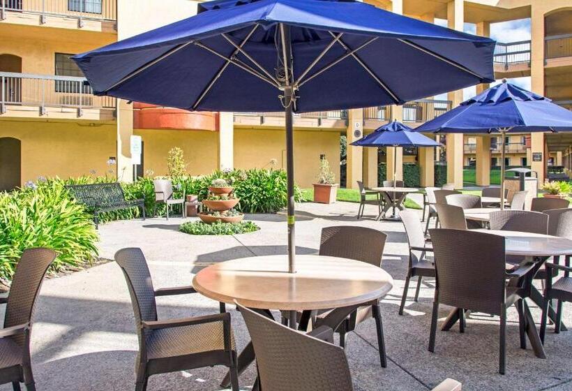 Отель Comfort Inn & Suites San Francisco Airport North