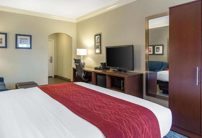 Отель Comfort Inn & Suites San Francisco Airport North
