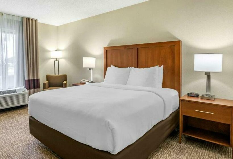 בית מלון כפרי Comfort Inn & Suites St. Pete  Clearwater International Airport
