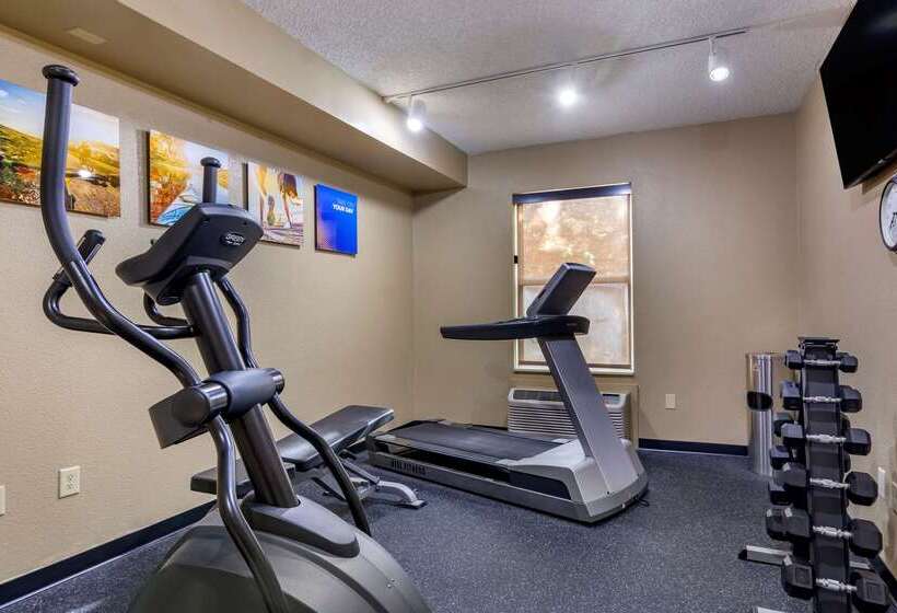 فندق Comfort Inn & Suites