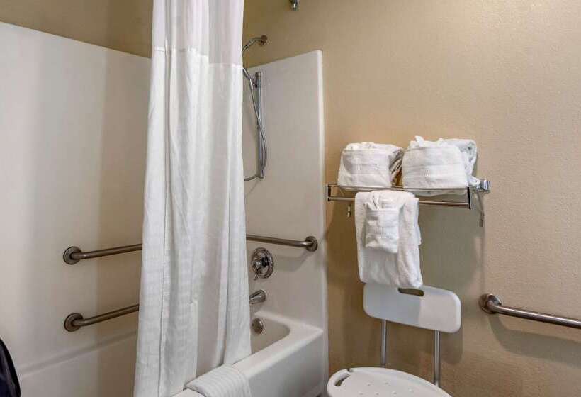 فندق Comfort Inn & Suites