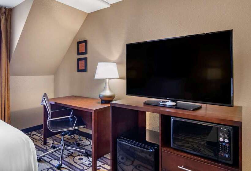 فندق Comfort Inn & Suites