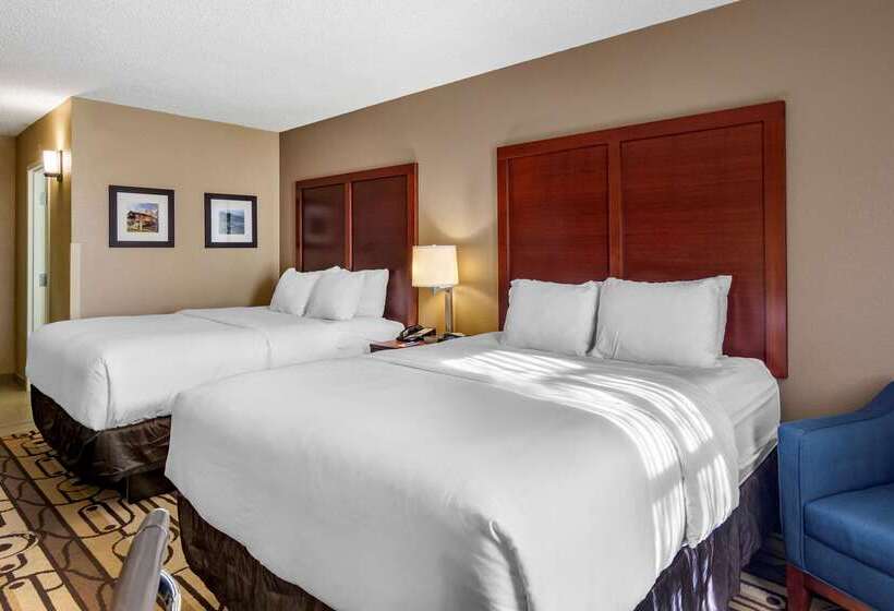 فندق Comfort Inn & Suites