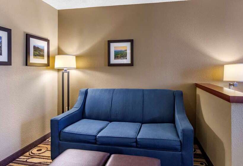 فندق Comfort Inn & Suites