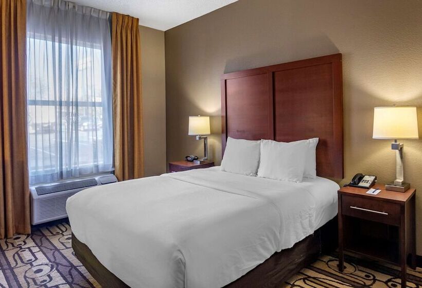 فندق Comfort Inn & Suites