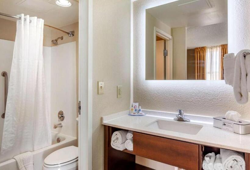 فندق Comfort Inn & Suites