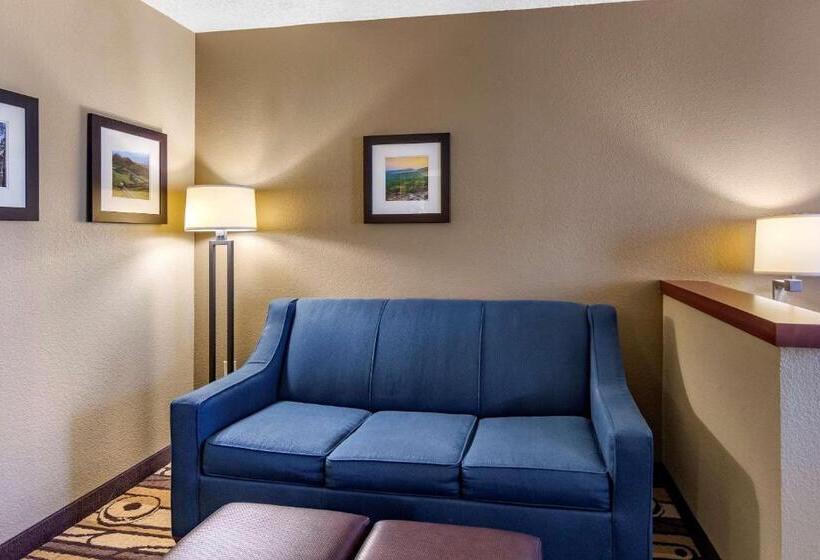 فندق Comfort Inn & Suites
