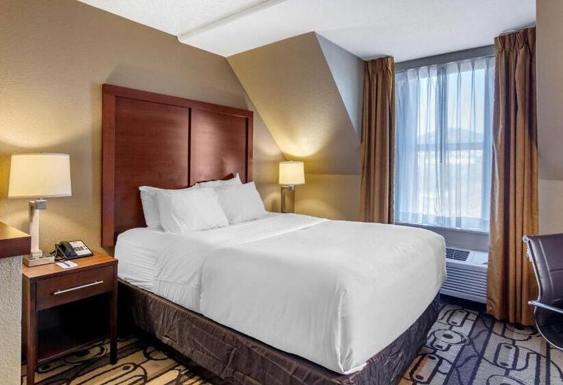 فندق Comfort Inn & Suites