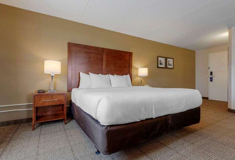 בית מלון כפרי Comfort Inn The Pointe