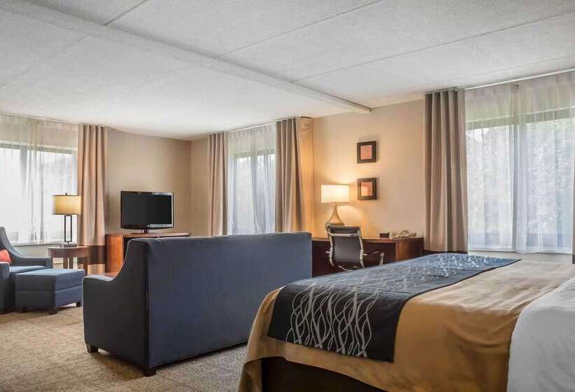 בית מלון כפרי Comfort Inn The Pointe