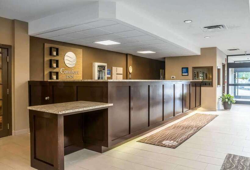 בית מלון כפרי Comfort Inn The Pointe