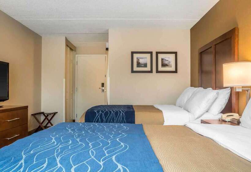 בית מלון כפרי Comfort Inn The Pointe