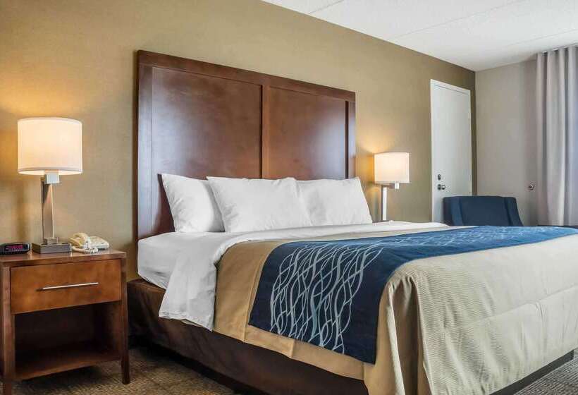 בית מלון כפרי Comfort Inn The Pointe