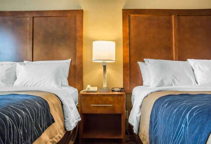 בית מלון כפרי Comfort Inn The Pointe