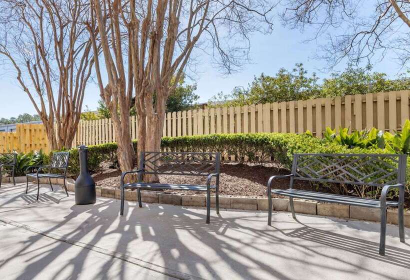 בית מלון כפרי Comfort Inn University