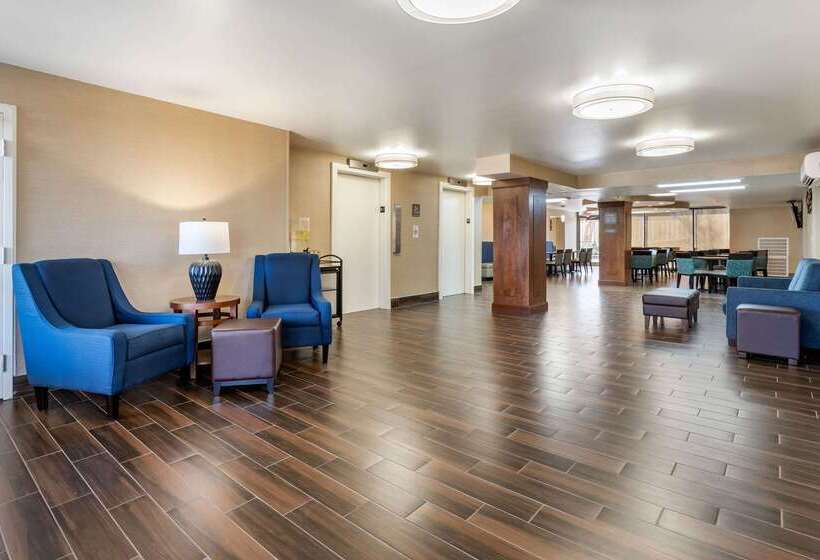 בית מלון כפרי Comfort Inn University