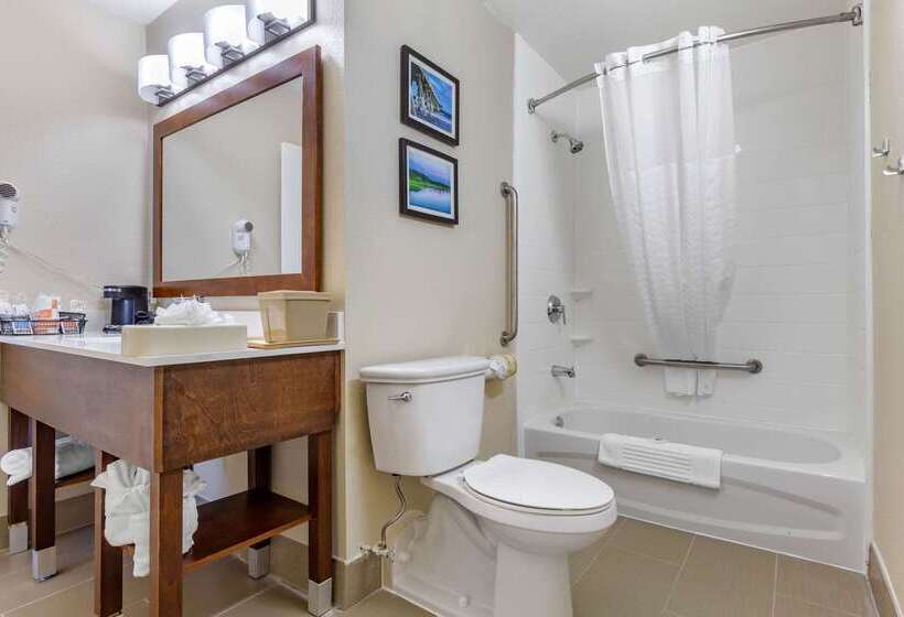 בית מלון כפרי Comfort Inn University