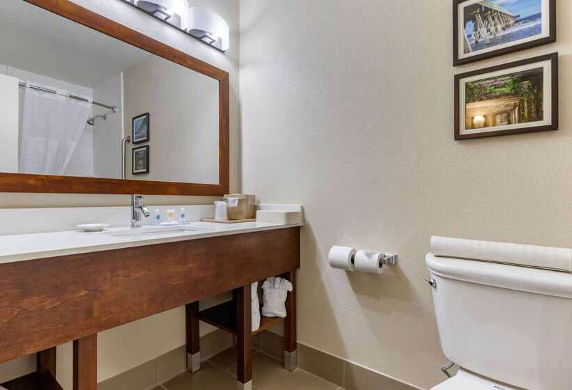 בית מלון כפרי Comfort Inn University