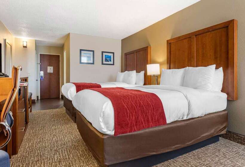 בית מלון כפרי Comfort Inn University