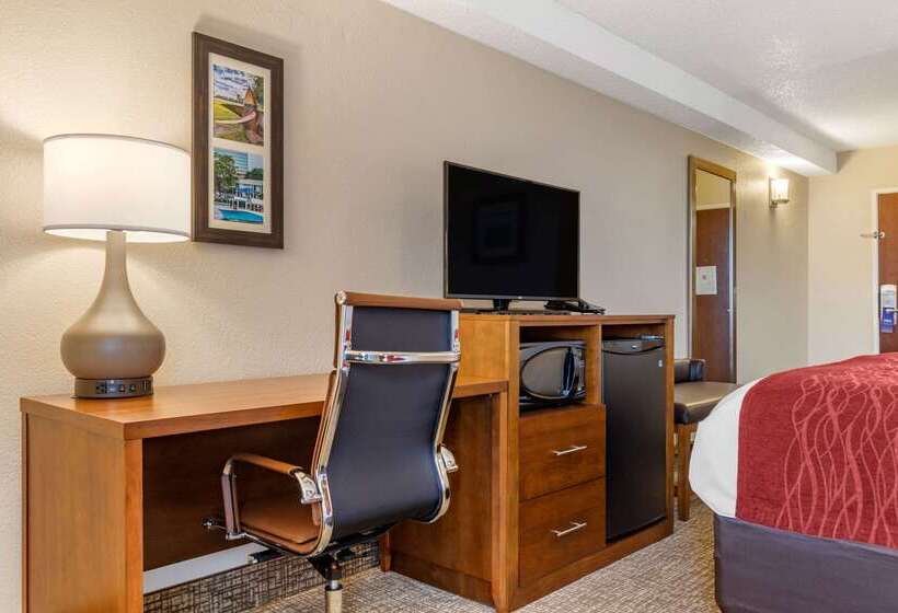 בית מלון כפרי Comfort Inn University