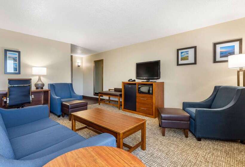 בית מלון כפרי Comfort Inn University