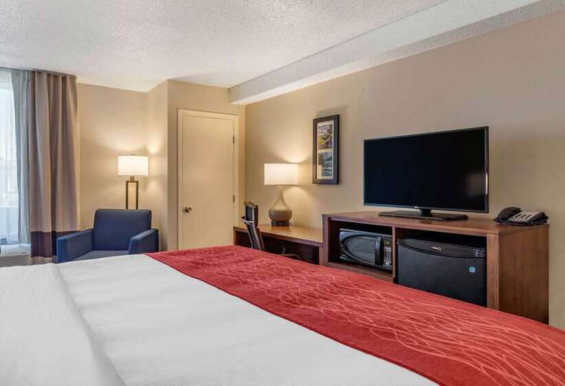 בית מלון כפרי Comfort Inn University