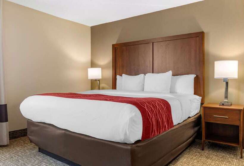 בית מלון כפרי Comfort Inn University