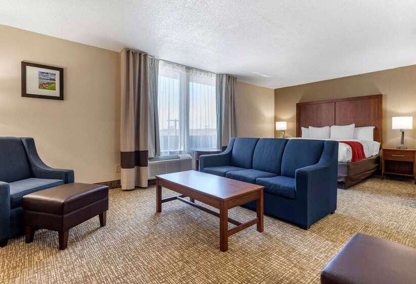 בית מלון כפרי Comfort Inn University