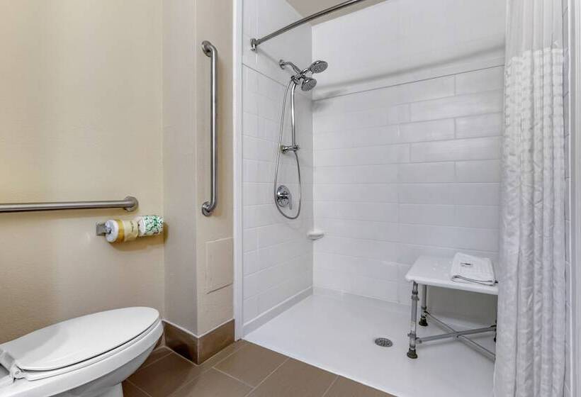 בית מלון כפרי Comfort Inn University