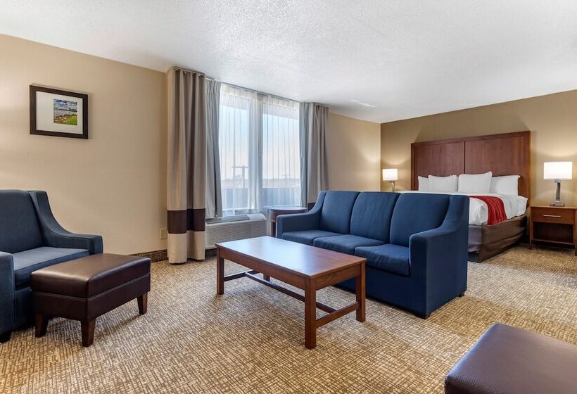 בית מלון כפרי Comfort Inn University