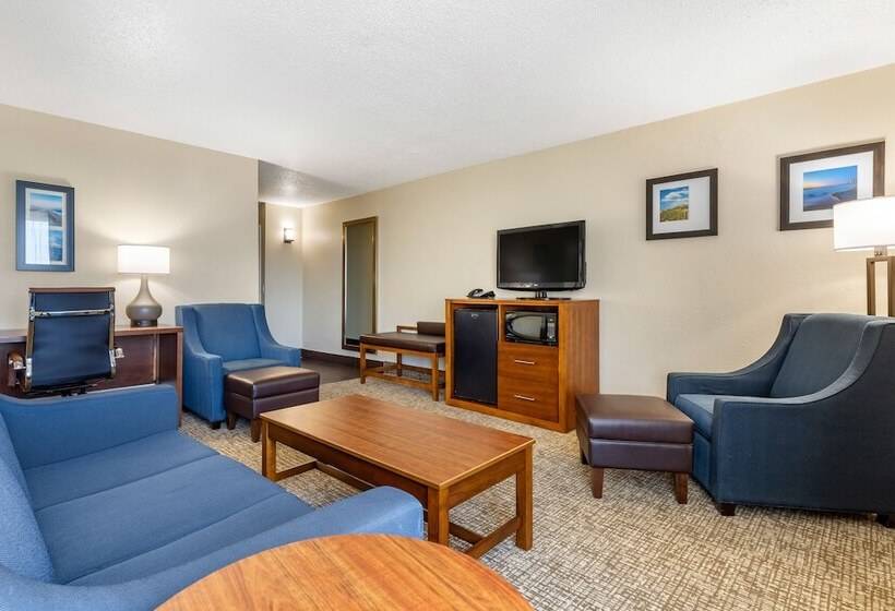 هتل Comfort Inn University