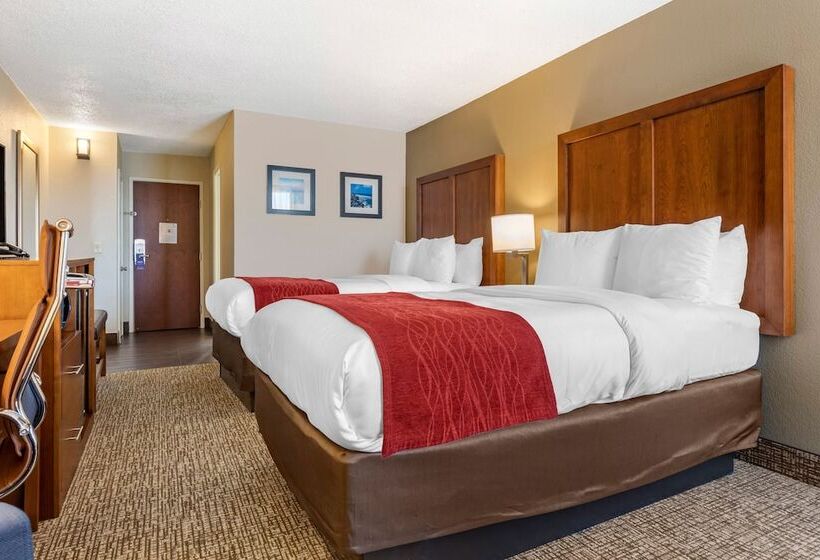 בית מלון כפרי Comfort Inn University