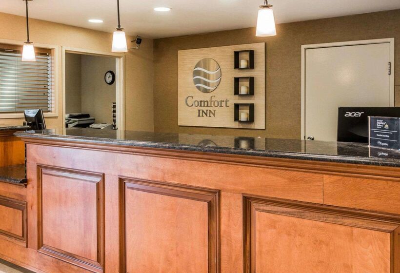 בית מלון כפרי Comfort Inn Utica